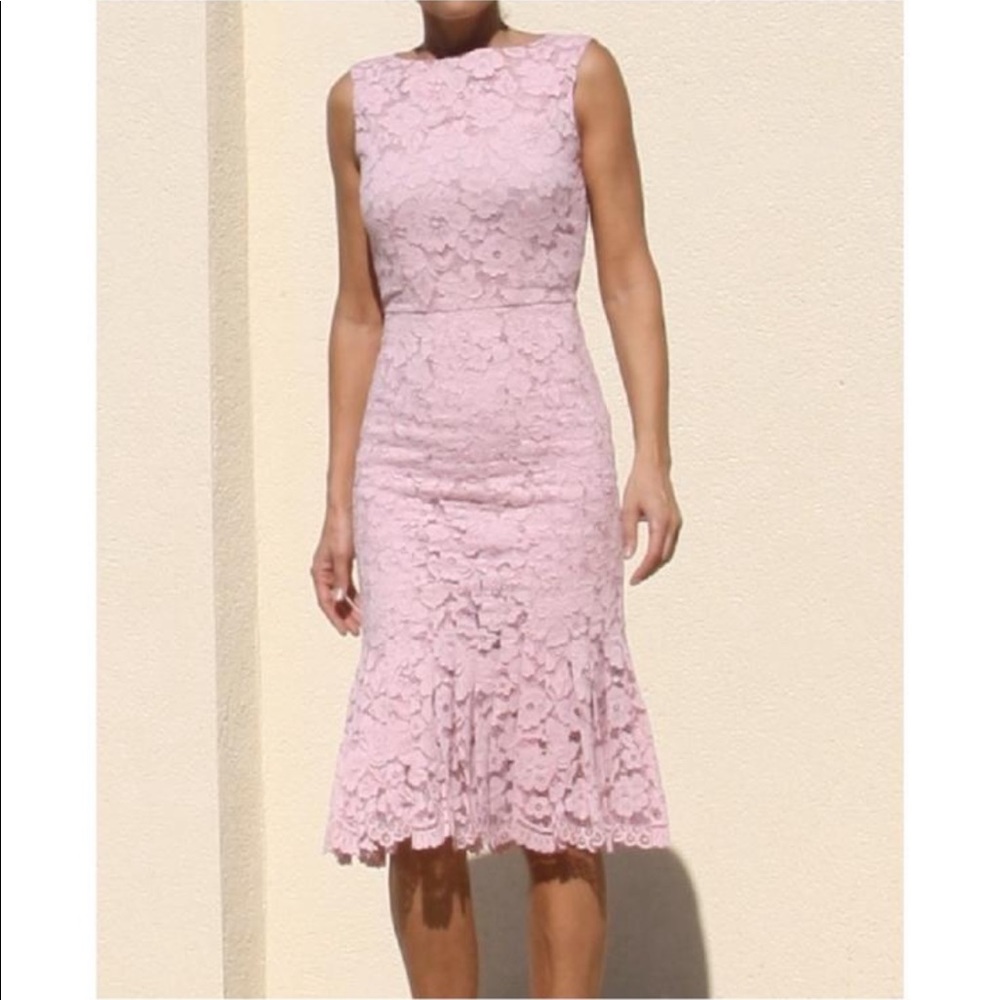 Carolina Herrera Pink Lace Designer Dress